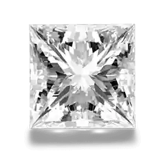 shape-PRINCESS